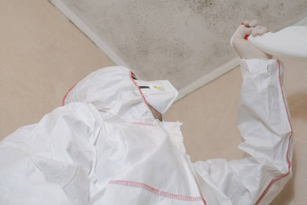 Best Professional Mold Removal  in Kalama, WA
