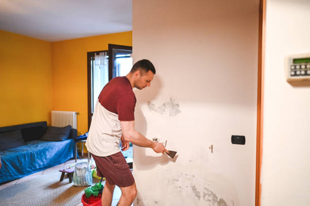 Home Mold Removal in Kalama, WA