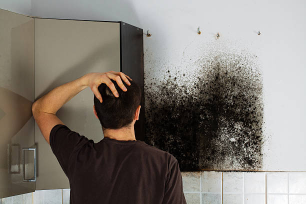 Best Water Damage Restoration  in Kalama, WA